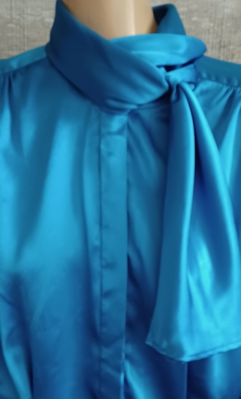 Vintage Blouse - Picture 6 of 13